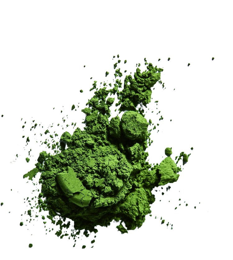 Ginzo Matcha — Samidori Single Origin 30g